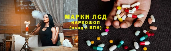 сатива Абинск