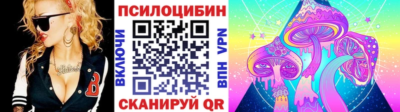 Псилоцибиновые грибы MAGIC MUSHROOMS  где можно купить наркотик  Тында 